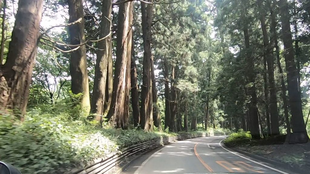 栃木の林道