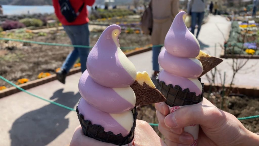 バニラとブルーベリーのソフトクリームと富士山クッキー
